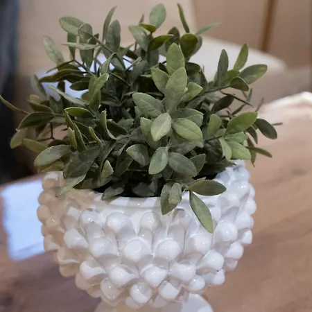 Casa Smart * 팔레르모